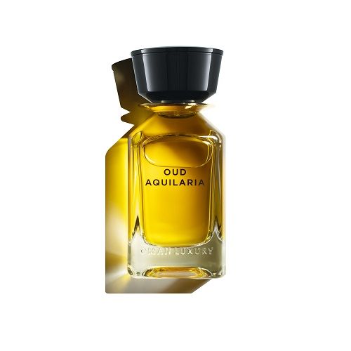 Oman Luxury-Oud Aquilaria