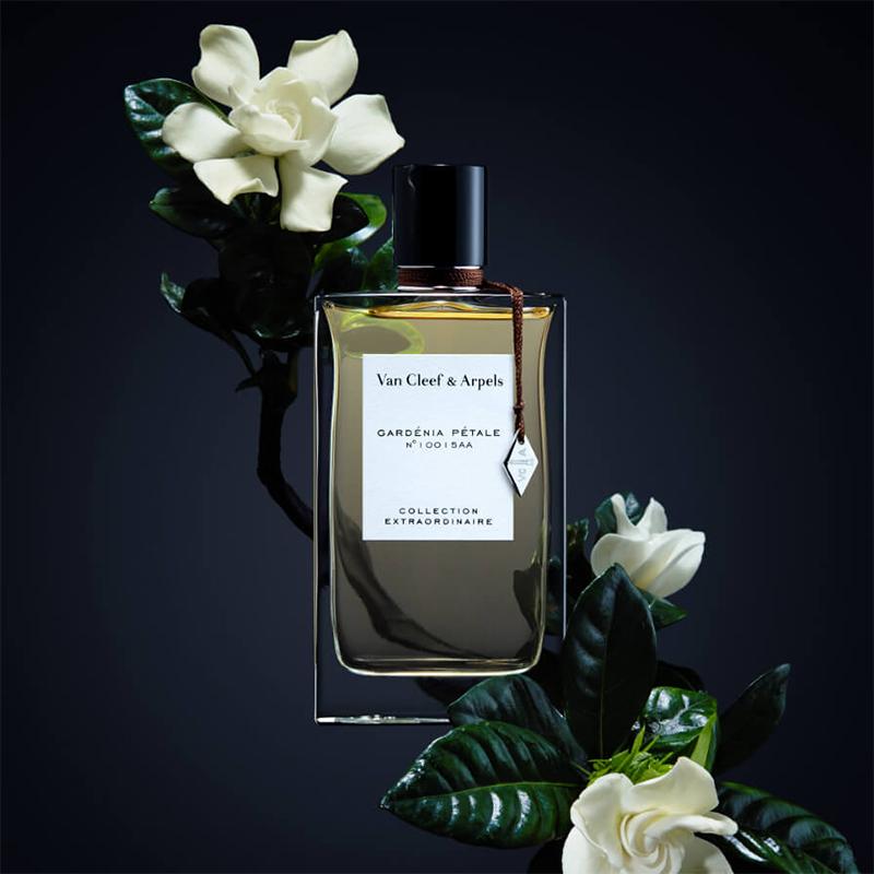 VAN CLEEF & ARPELS GARDÉNIA PÉTALE - Zakaa Urban