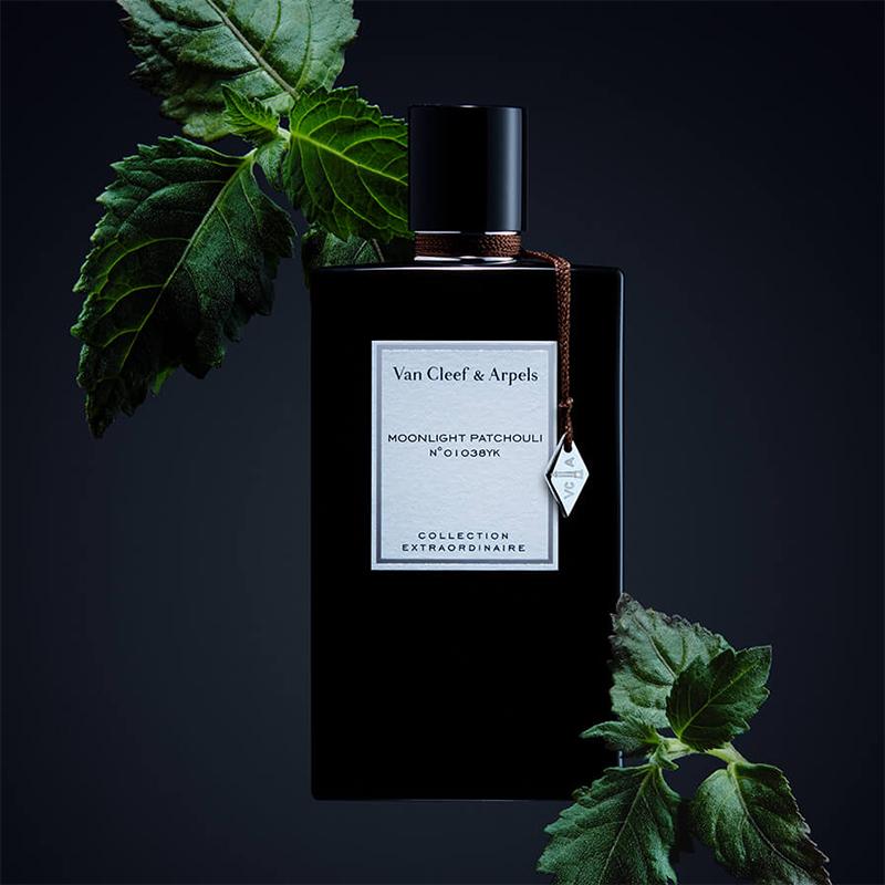 VAN CLEEF & ARPELS MOONLIGHT PATCHOULI 75ML - Zakaa Urban