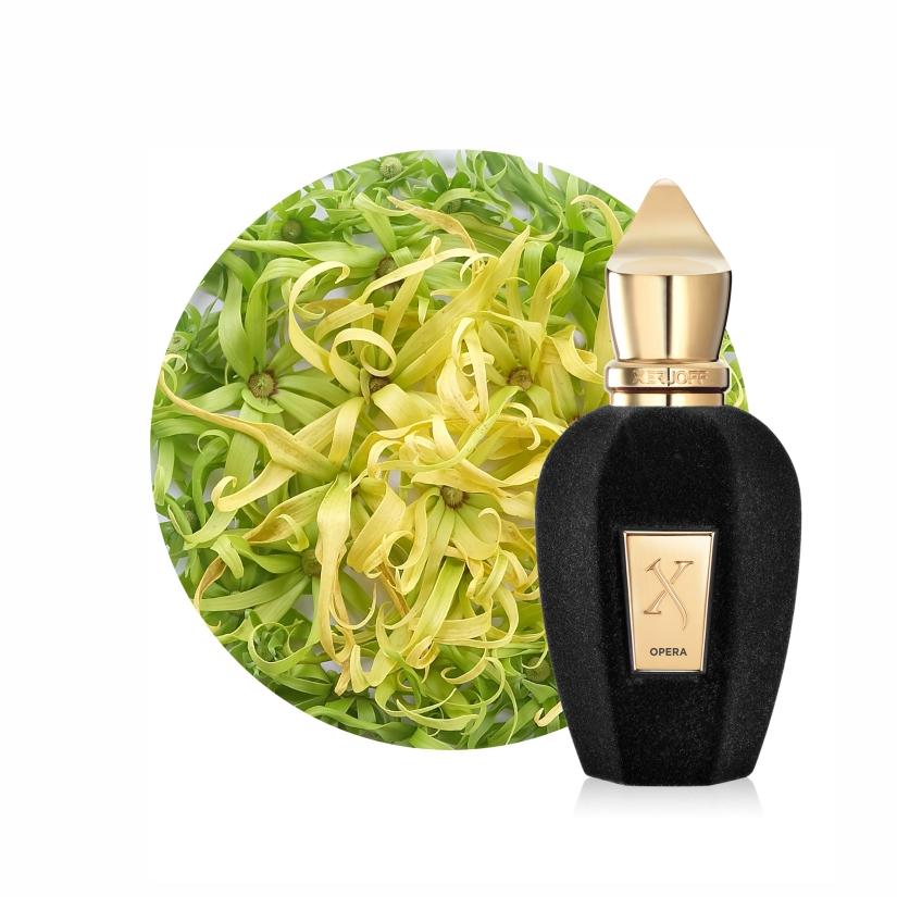 Xerjoff V Collection Opera - Zakaa Urban-perfume Prive